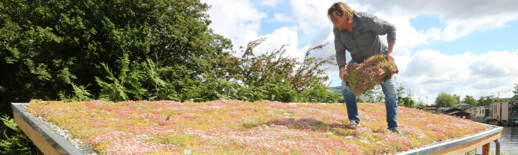 Mobilane MobiRoof ECO lightweight green roof