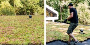 Mobilane MobiRoof ECO green roof SPEEHUIS