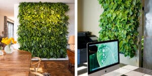 Mobilane LivePanel PACK living wall 1