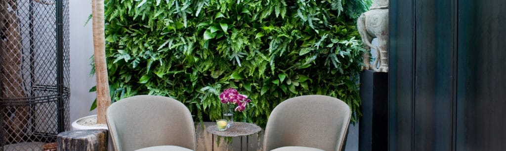 A living wall at home
