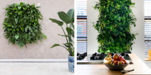 Mobilane LivePanel PACK living wall 2