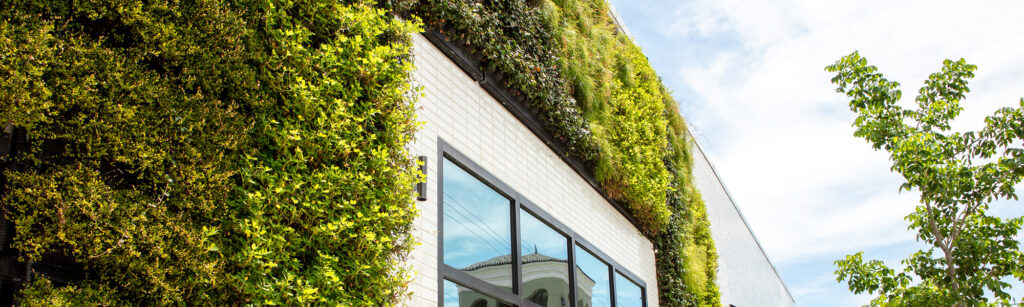 Alternatives to a moss wall