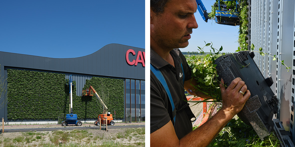 MobiPanel Unibouw green façade - nature inclusive building