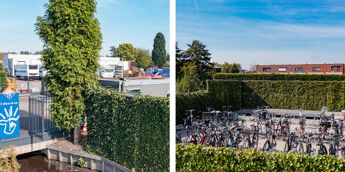 Green hedging screens around business premises