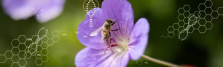 dna insectscan