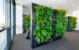 Living green room dividers dress up office in Amsterdam - Penthouse Apartment Green Room Dividers Design