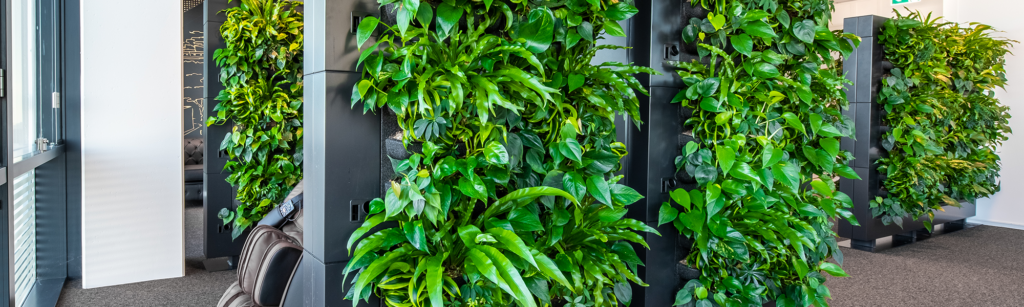 Living green room dividers dress up office in Amsterdam