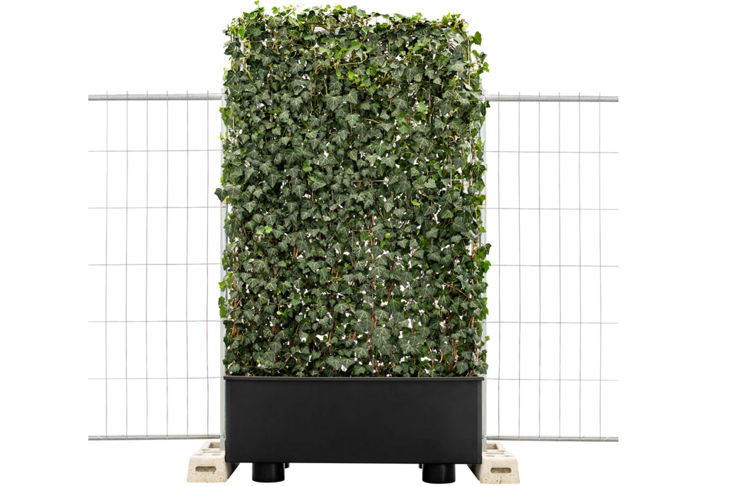 MobiGreenFence met klimop voor een bouwhek, case study Apeldoorn