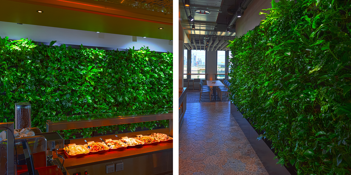 A healthy indoor climate in company canteen with living green wall