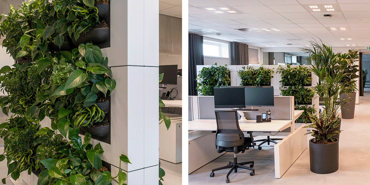 Green room dividers at Brilliant Group | Mobilane