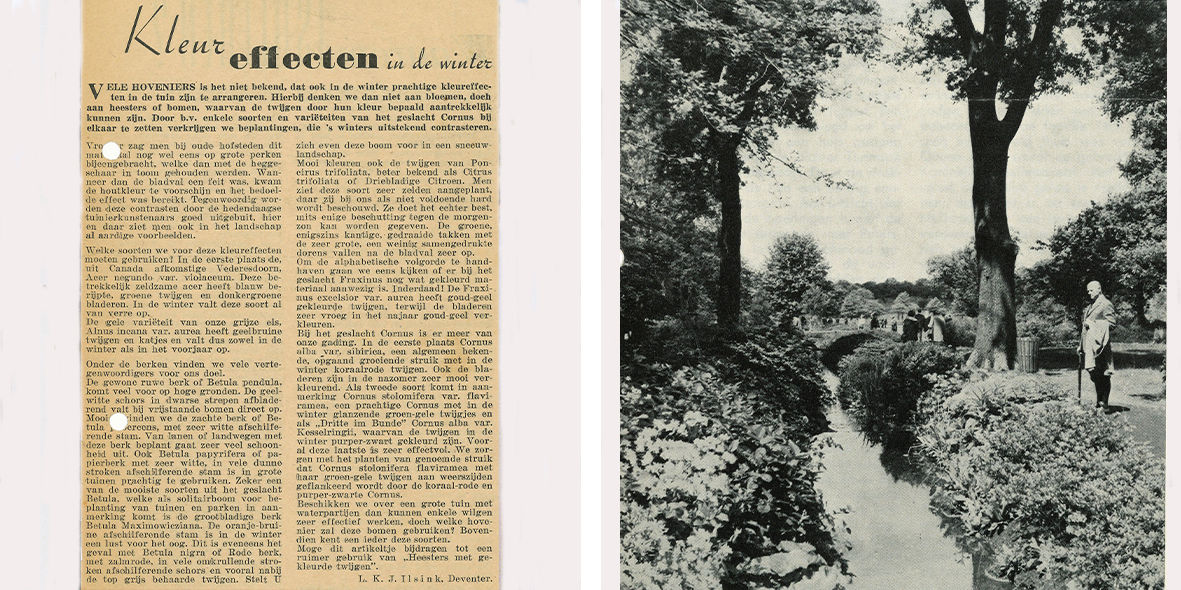 Mobilane-Heritage-1950er-Park