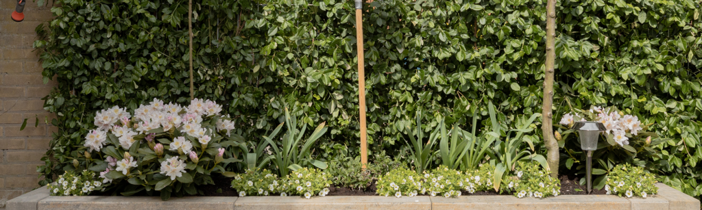 Mobilane Kant & Klaar Haag van klimop achter een plantenbak met bloeiende planten