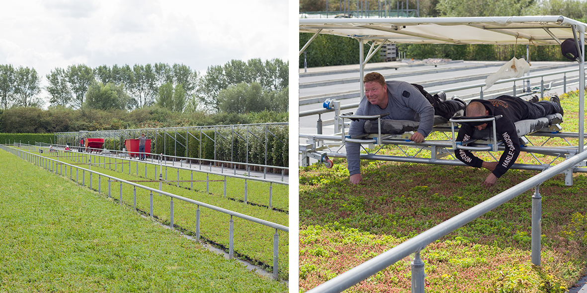 Mobilane-Sozialer Arbeitsplatz-MobiRoof-ECO