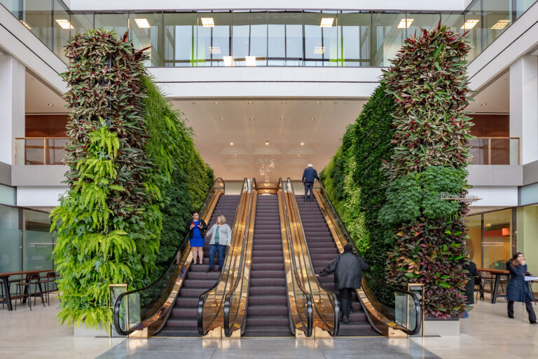 interieurbeplanting