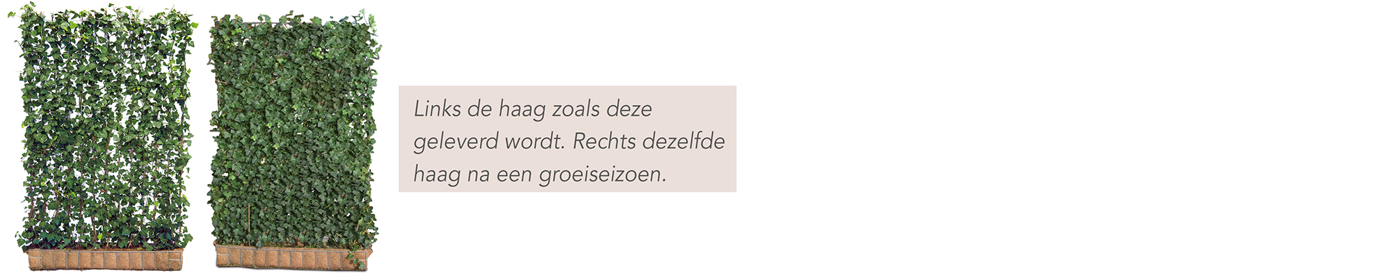 Kant en Klaar Haag volgroeide kwaliteit - Mobilane