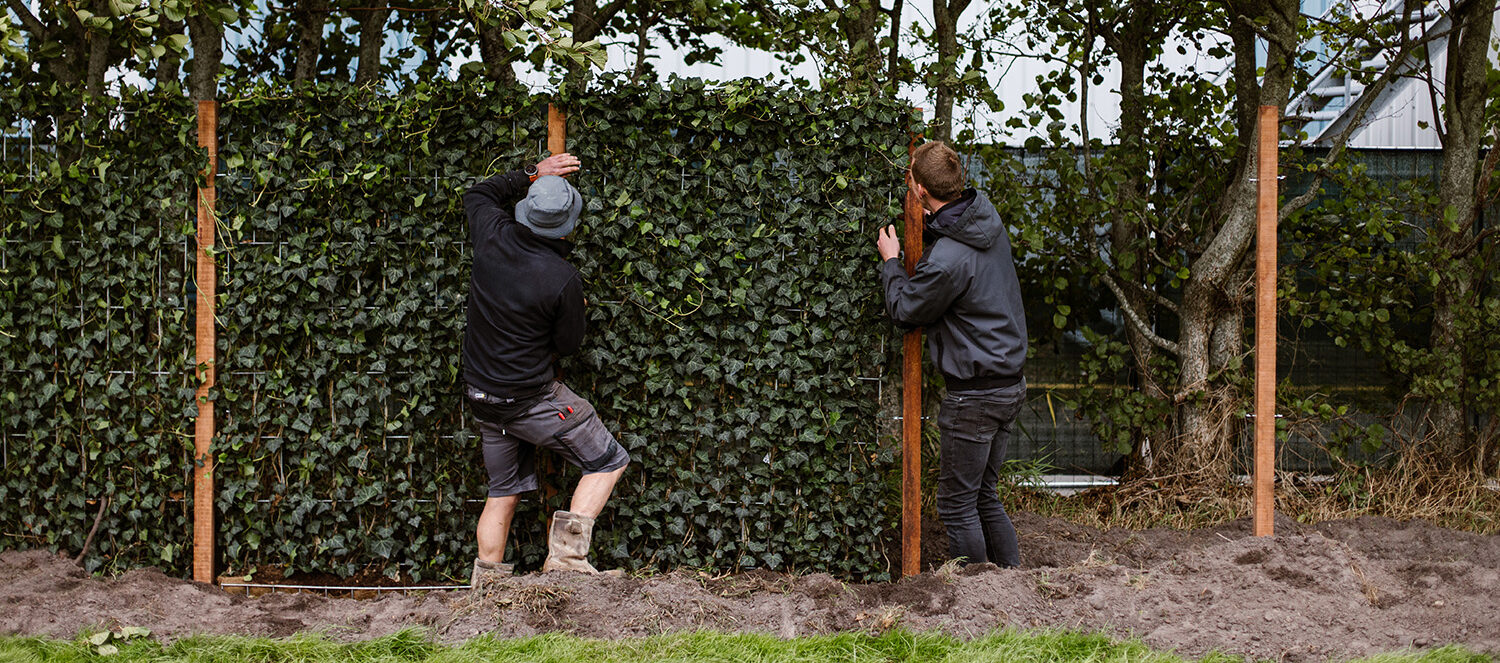 Mobilane kant en klaar haag installatie hoveniers