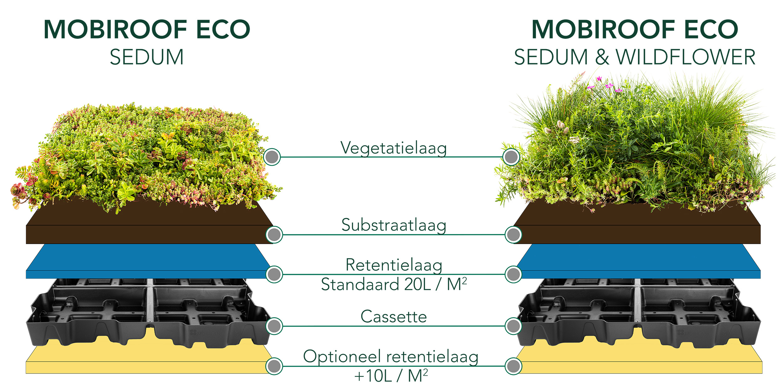 Mobilane waterretentie groen dak visualisatie