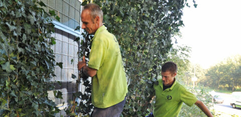 Mobilane Website-Header NoiStop – Schallschutz & Grün gegen Graffiti