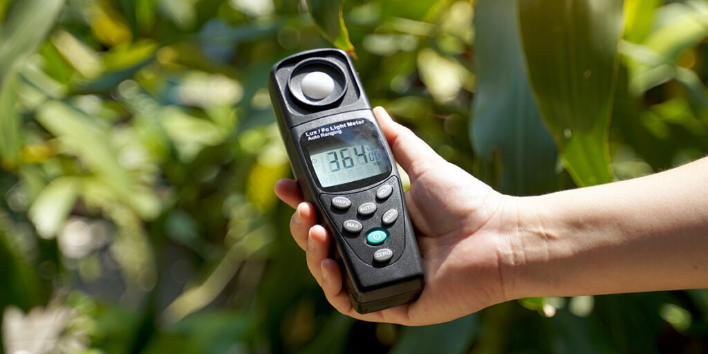 Mobilane belang van licht voor interieurbeplanting