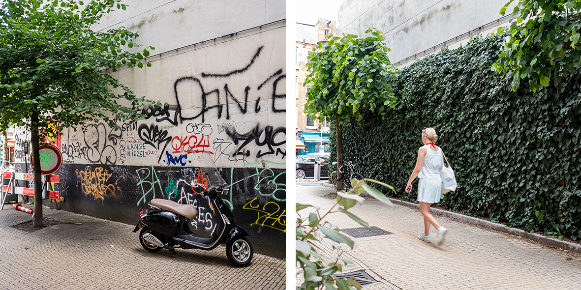 Mobilane-ready hedges-against-graffiti