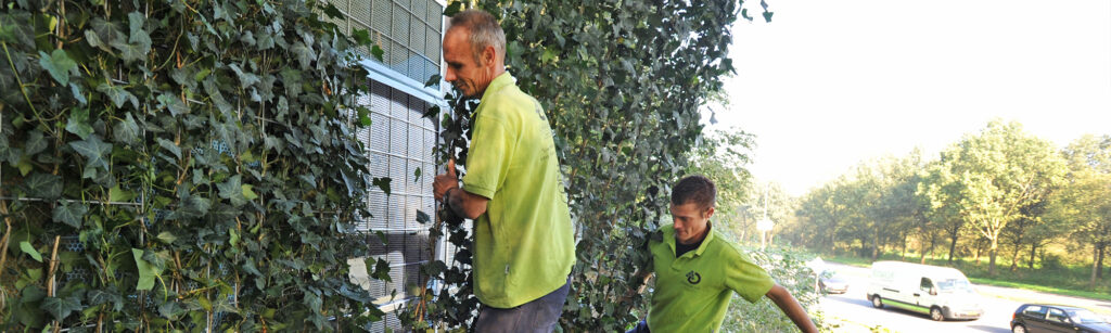 Mobilane-website-Header-NoiStop-Cancelling-Green-against-Graffiti
