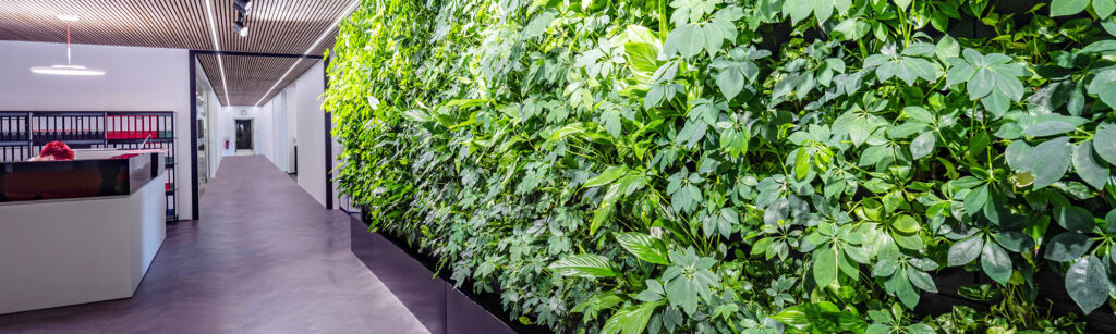 Mobilane website Header LivePanel TANK - Groene wand met geïntegreerd watergeefsysteem zonder watertoevoer