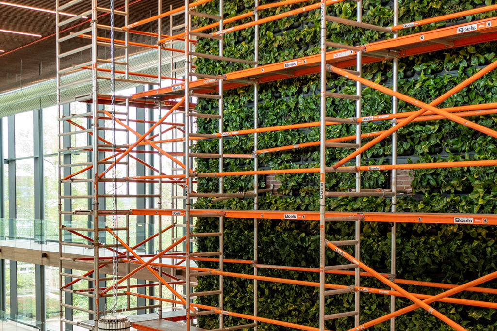 Installatie groene wanden - Mobilane