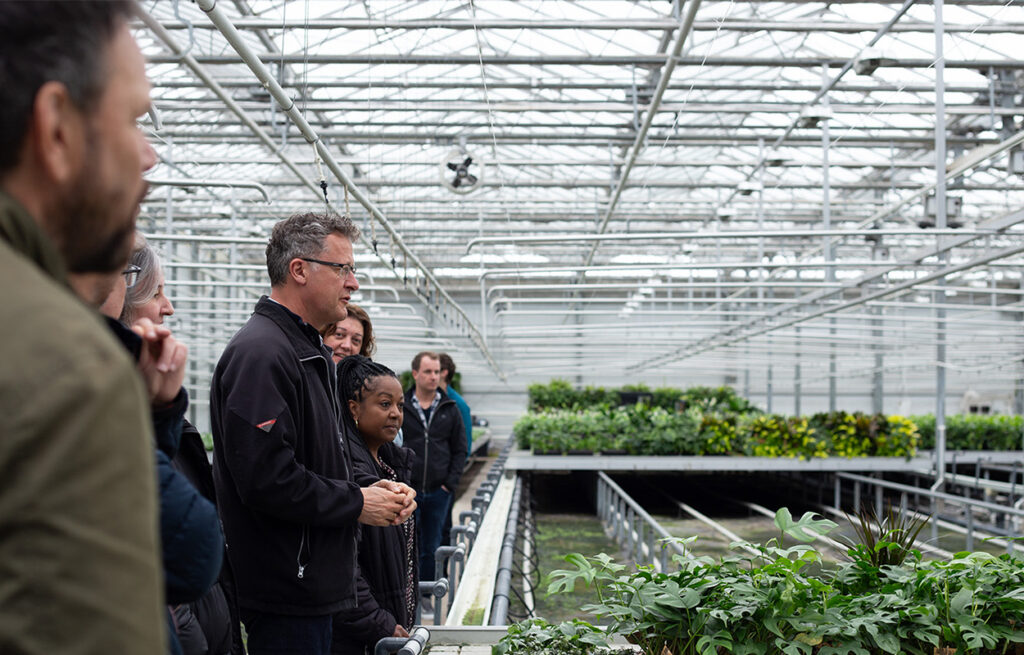 Mobilane Groene gevel training