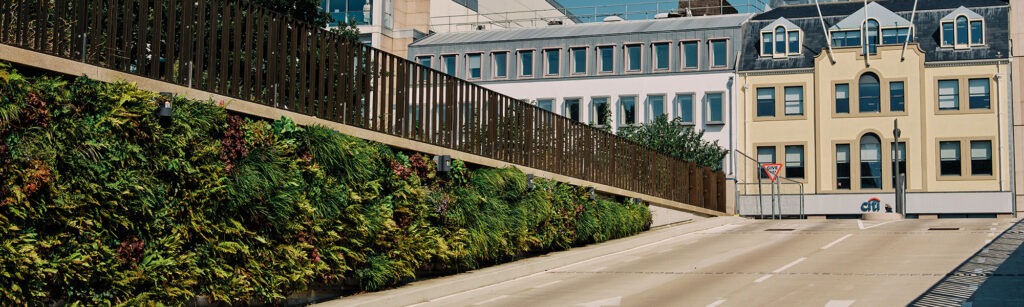 Mobilane header living walls BIDs area