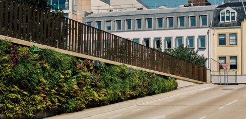 Mobilane header living walls BIDs area