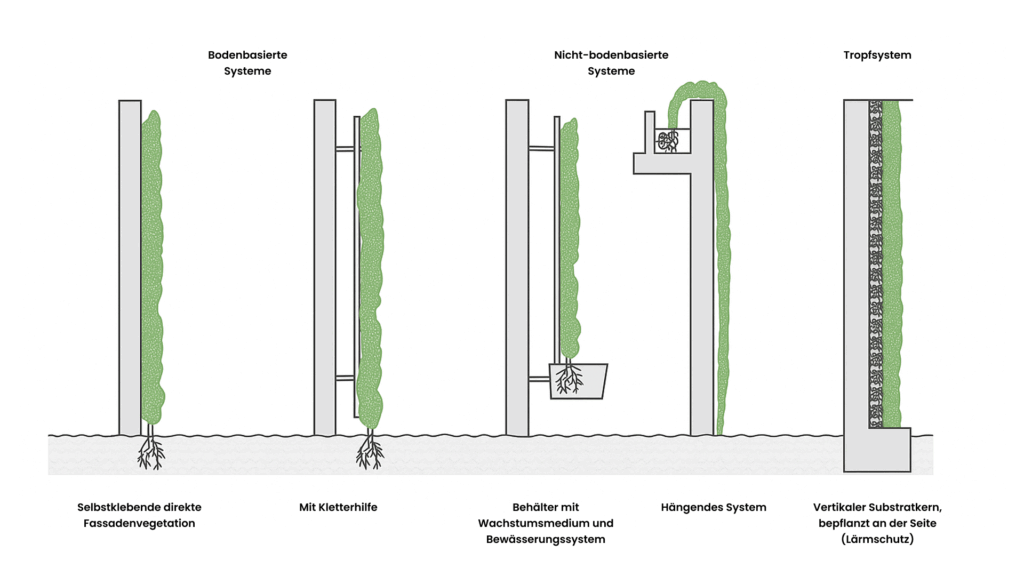 Schema begrünter Fassadensysteme: bodengebunden, nicht bodengebunden und Trogsysteme