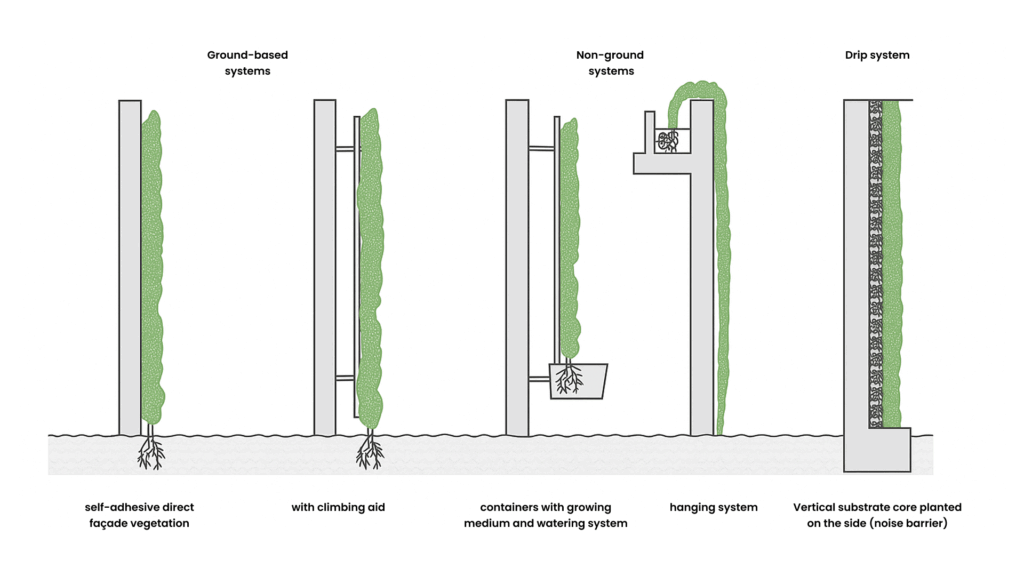 Diagram of green facade systems: ground-based, non-ground-based and trough systems