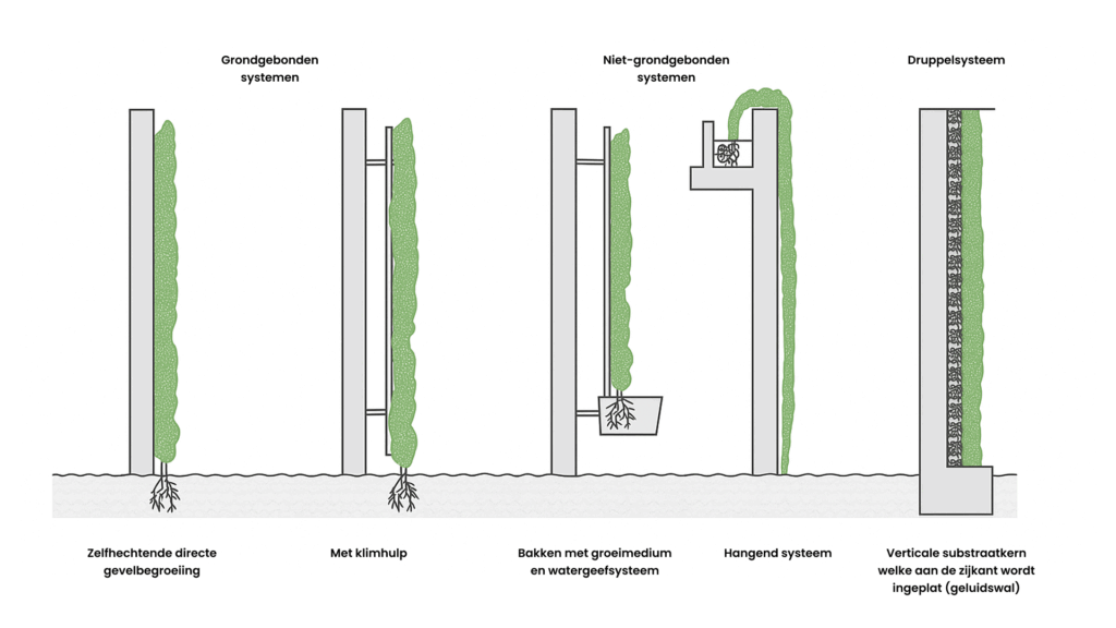 Schema van groene gevelsystemen: grondgebonden, niet-grondgebonden en trogsystemen