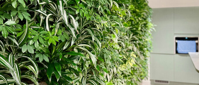 Mobilane-groene binnenwand-Finzels-Reach-header