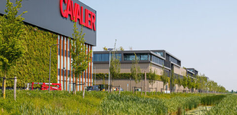 Mobilane website header Buzzards in green façade at Schip Trade Park