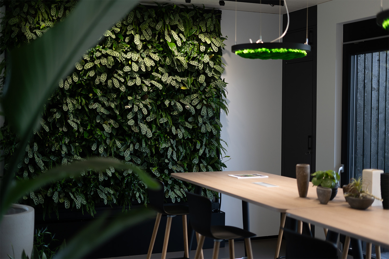 plantes-naturelles-mur-végétal-bureau-Mobilane