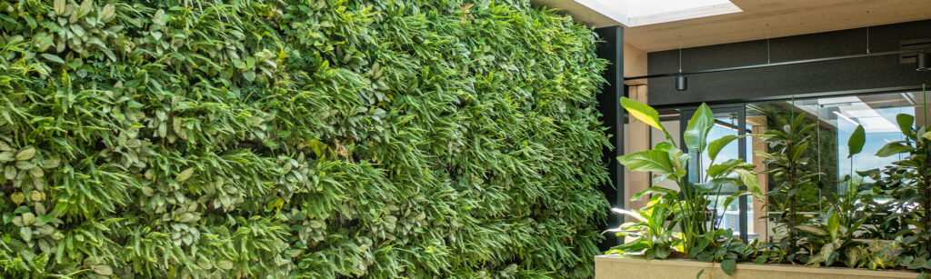 real-plants-Mobilane-green-wall-Header