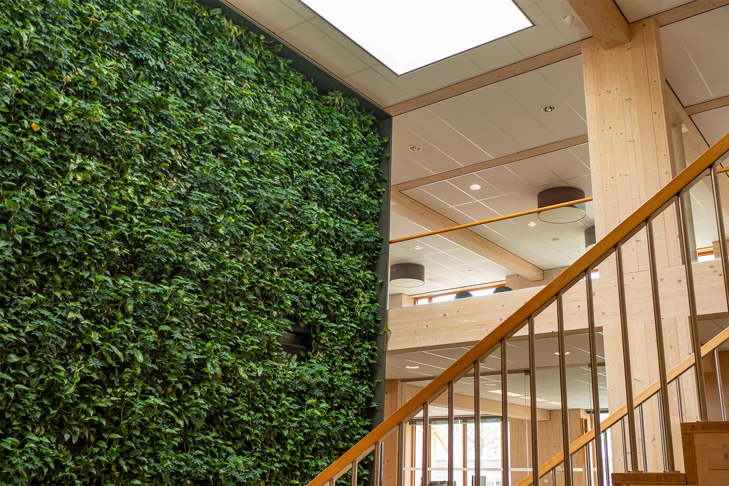 real-plants-Mobilane-interior-greening-vertical-wall