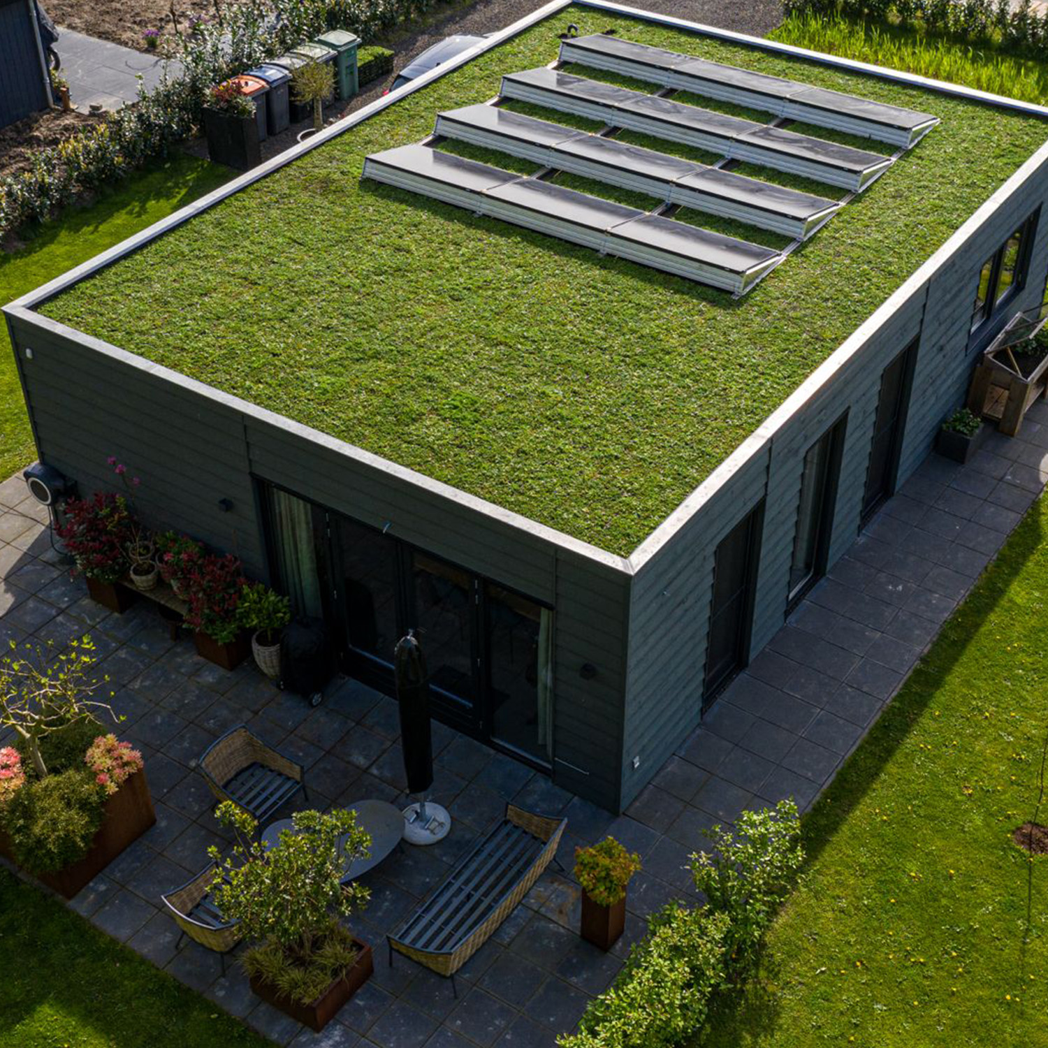 Groen dak