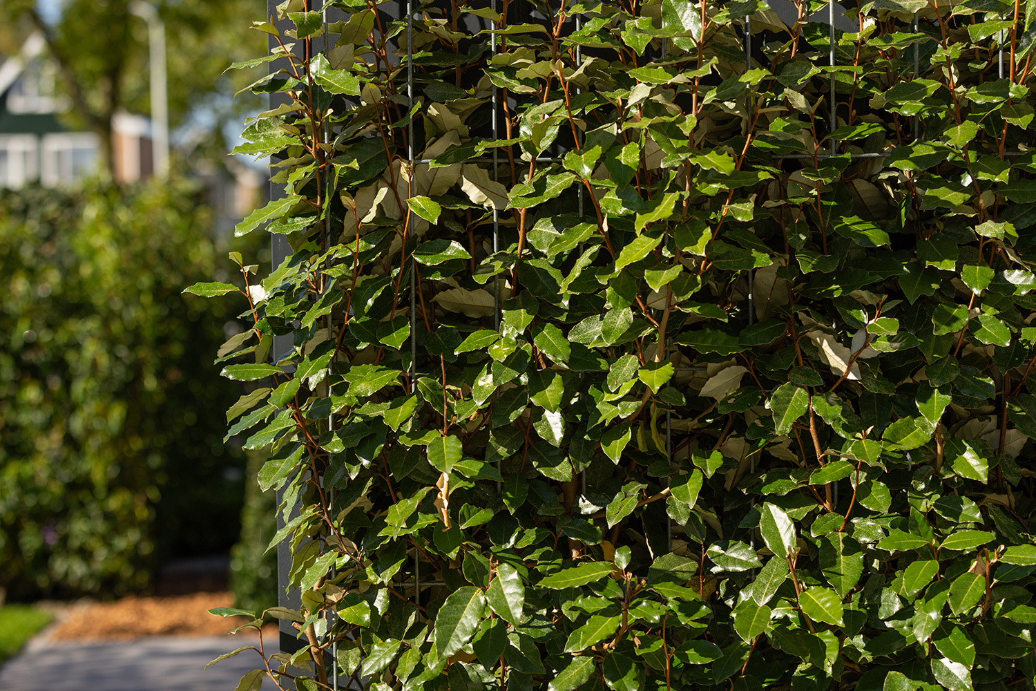 green-fencing-solution-metal-grid
