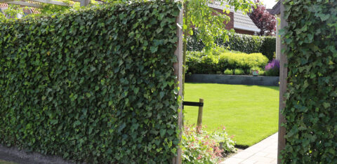 green-fencing-solution-sustainable-fencing-header