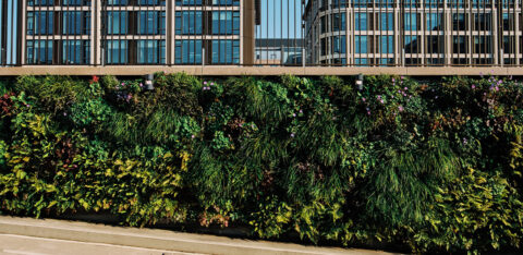 groene-gevels-voor-datacenters-mobilane-header