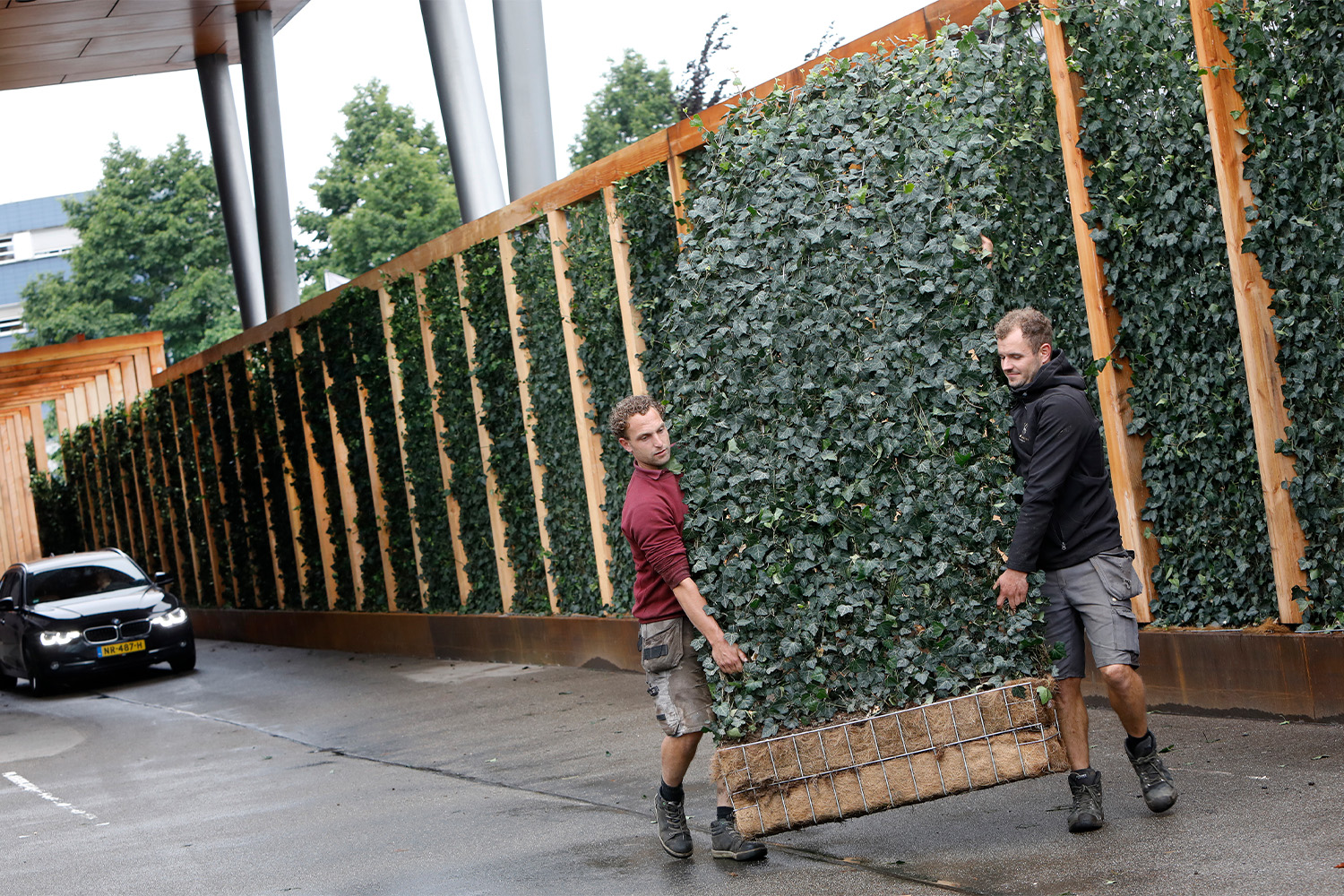work-landscapes-of-the-future-hedges-business-parks