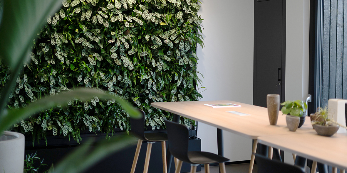 LivePanel TANK green wall system installed in an office interior