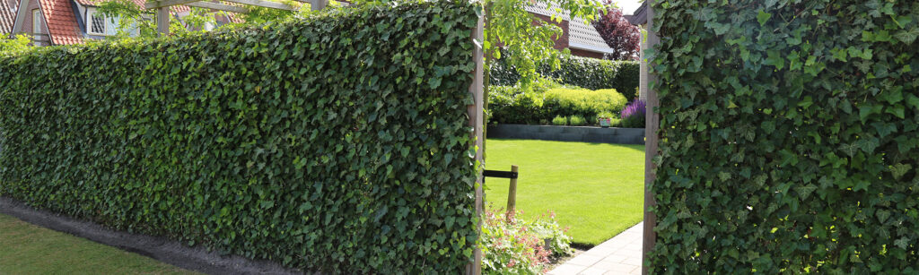 Groene omheining van Mobilane Kant & Klaar Hagen rond een tuin