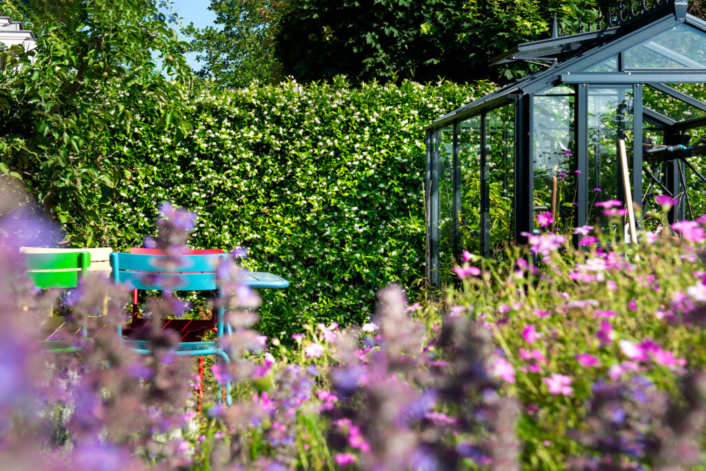 groene-omheiningsoplossing-tuin-kant-en-klaar-hagen