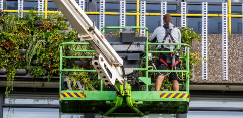 TU Delft Forschung zu grünen Fassaden – Westfassade von Gebäude 23 mit Living Lab