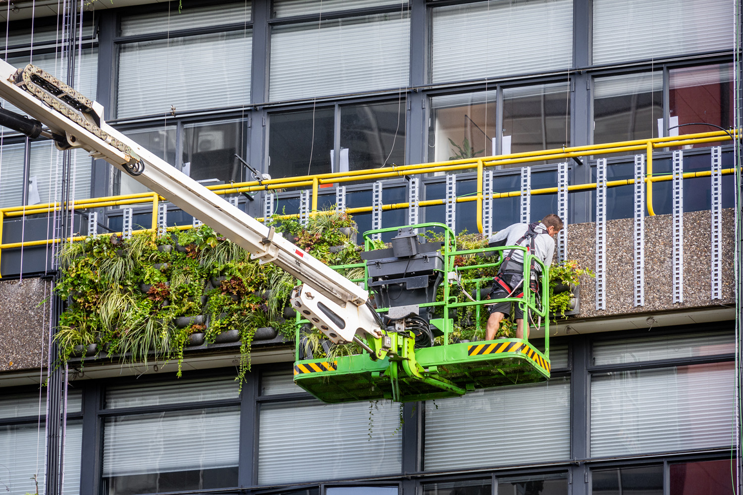 TU Delft Forschung zu grünen Fassaden – Installation von MobiPanel und WallPlanter