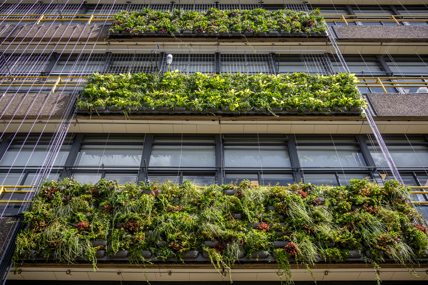 TU Delft Forschung zu grünen Fassaden – MobiPanel Modul an der Fassade der TU Delft