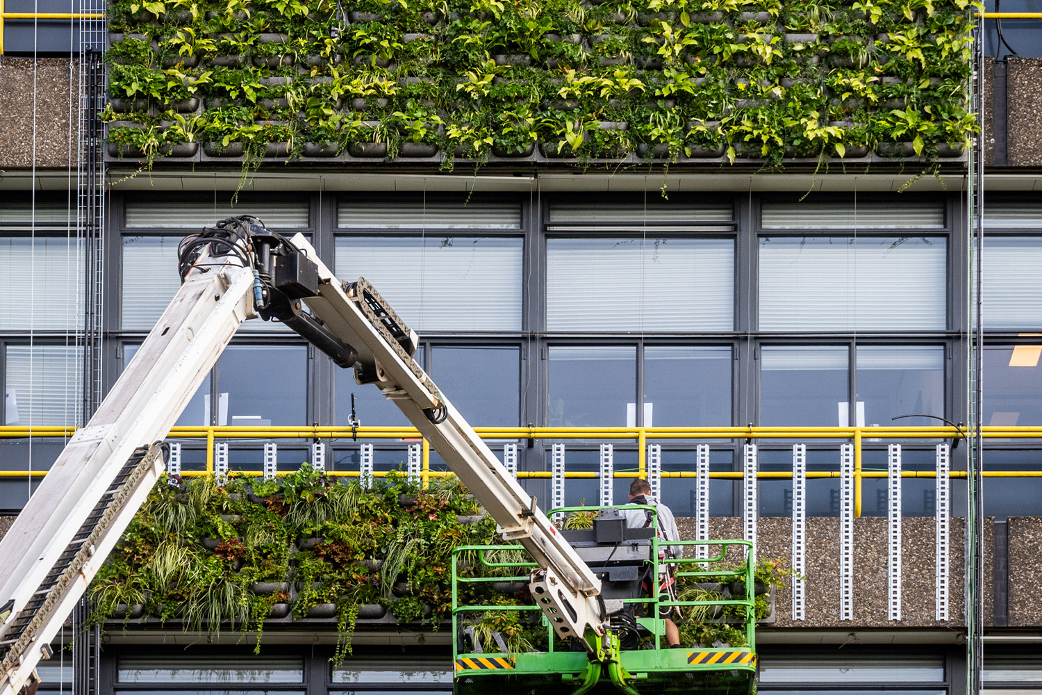 TU Delft Forschung zu grünen Fassaden – Montagearbeiten mit dem WallPlanter-System